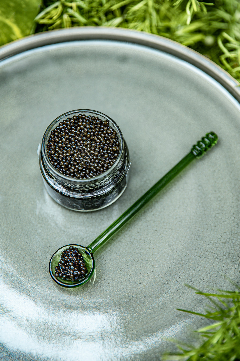Caviar 2,8%