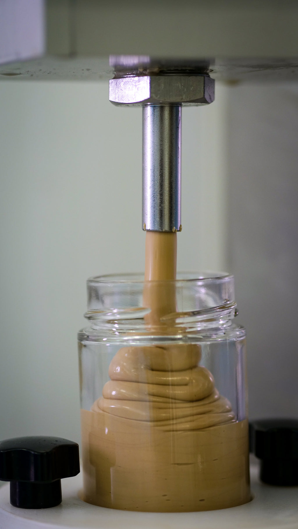 Crème de noisettes Piémont IGP