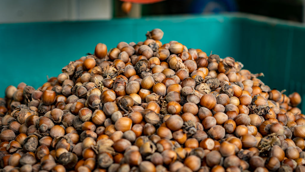 Noisettes Piémont IGP