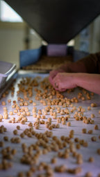 Noisettes Piémont IGP