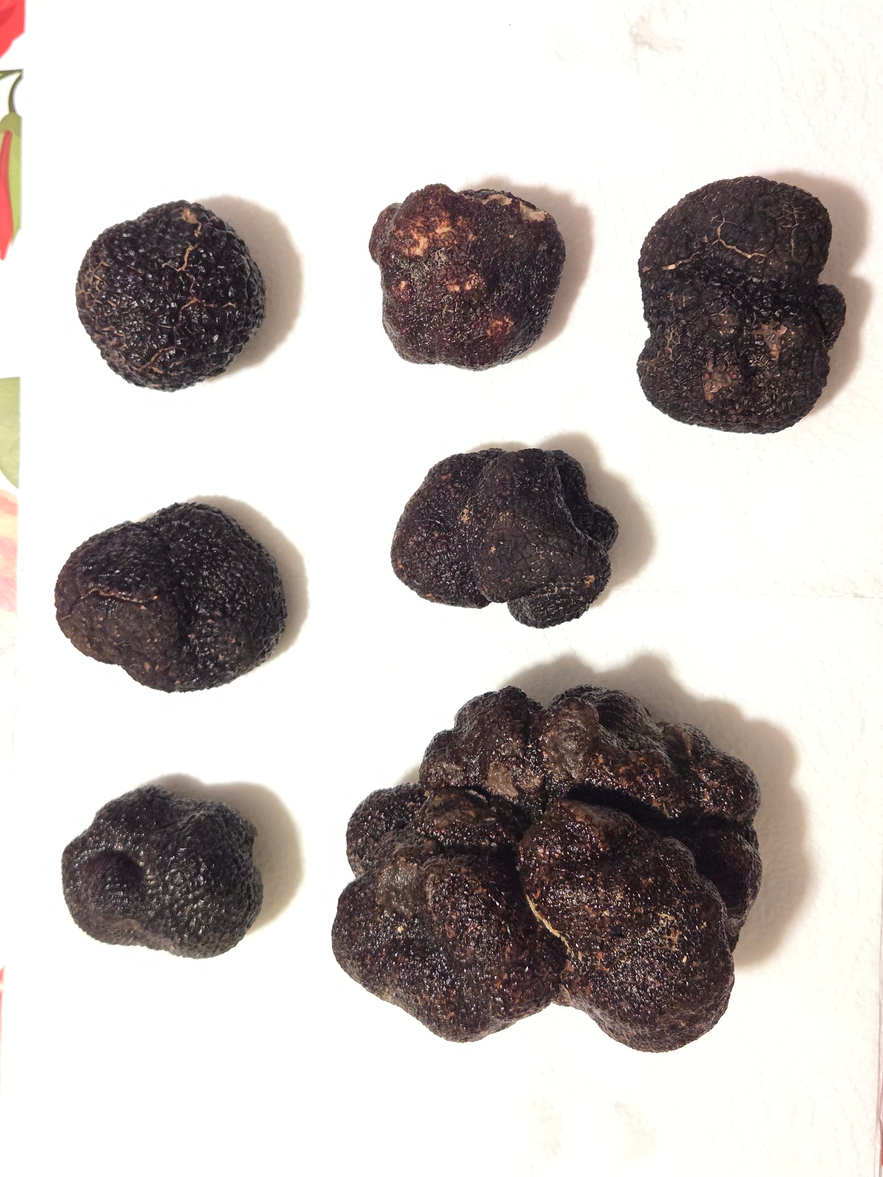 Truffe noire d'hiver