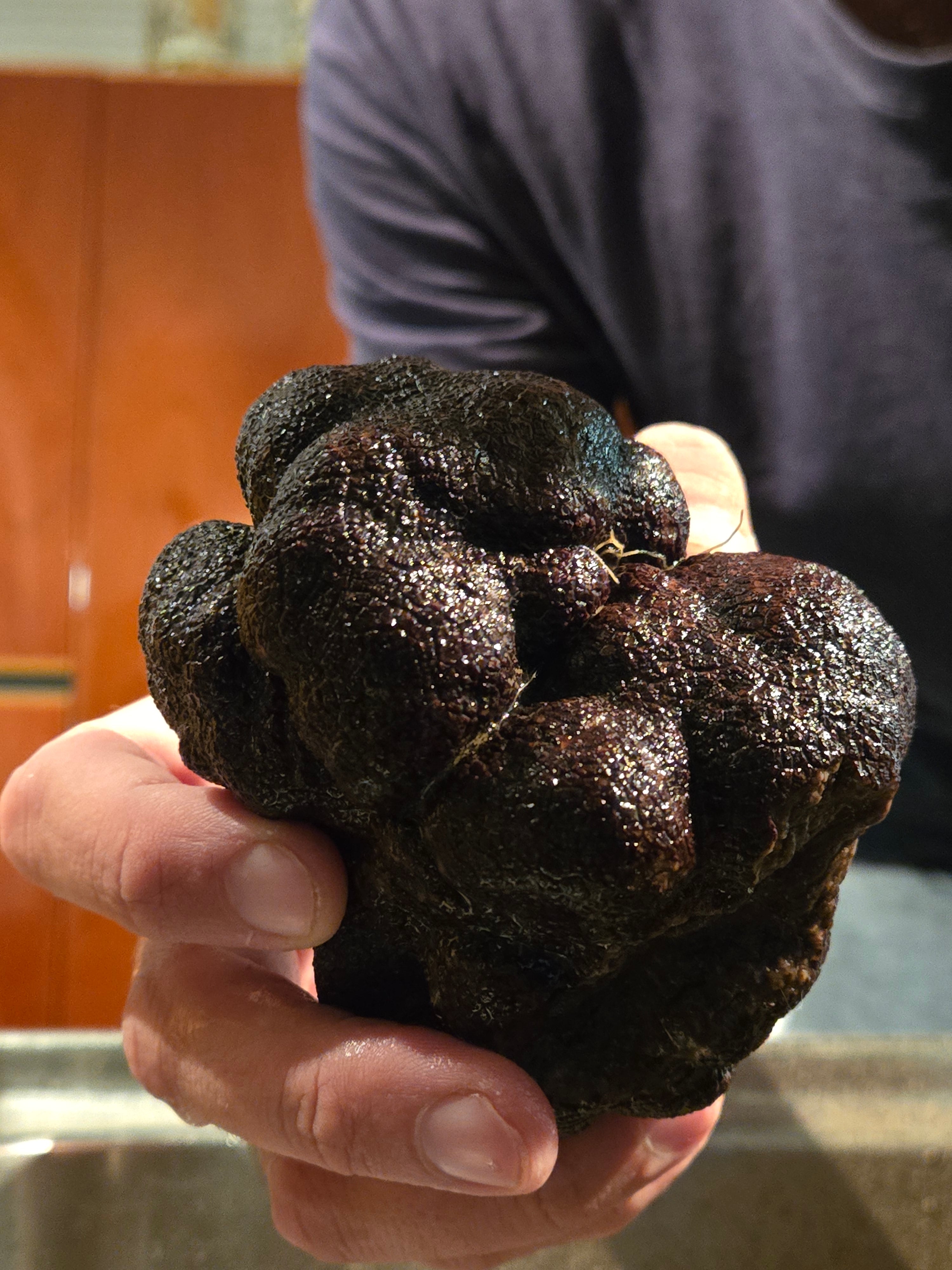 Truffe noire d'hiver